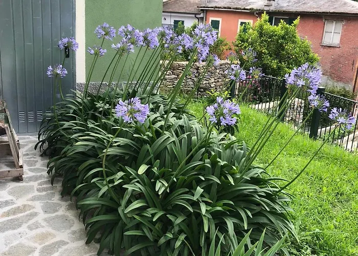 La Casa Del Borgo Tatil Evi *