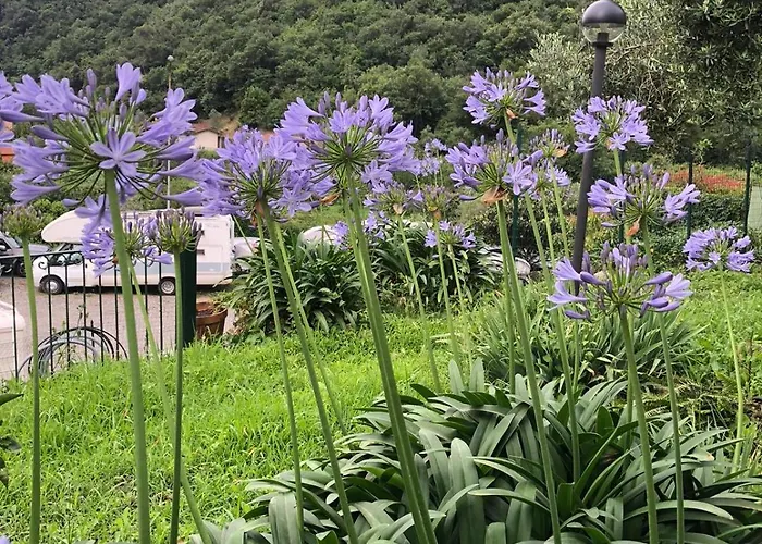 La Casa Del Borgo Nyaraló Recco